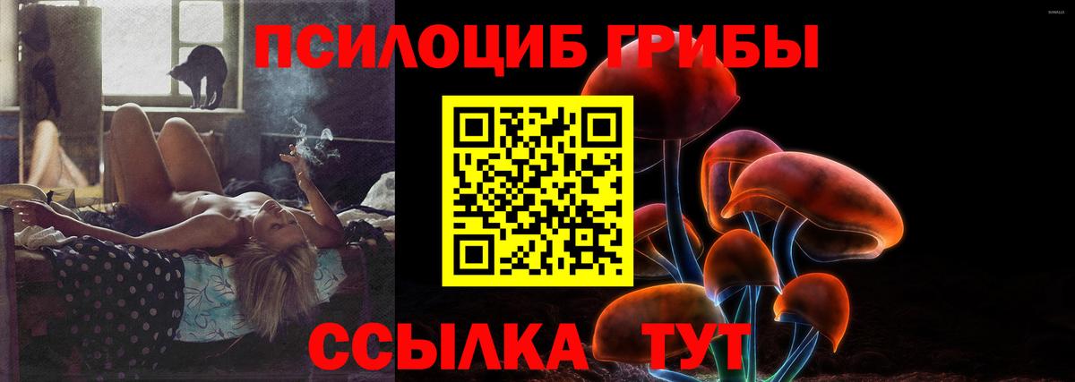 Галлюциногенные грибы Psilocybine cubensis  Галлюциногенные грибы Magic Shrooms  Вход с VPN  Гудермес 