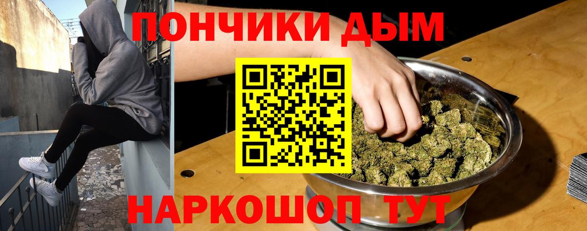 Шишки марихуана планчик Гудермес